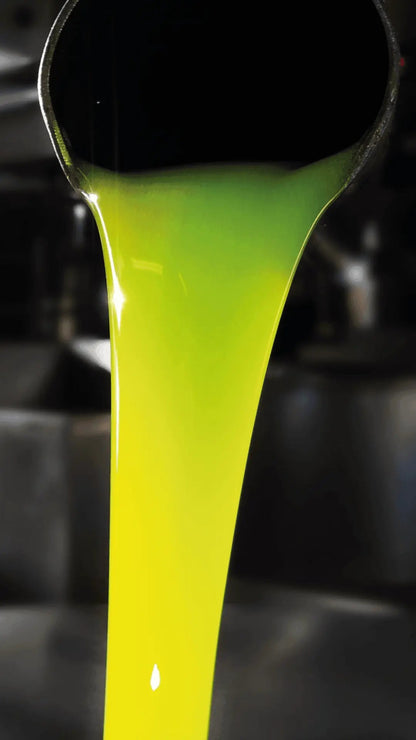 Oro Bailén Picual Bio, afbeelding 4